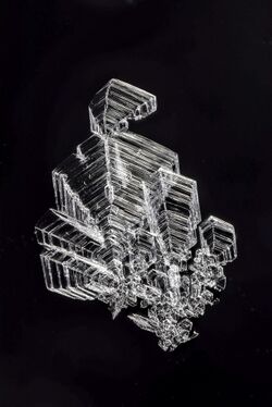 Рост методом сублимацииКамфора, R. Tanaka, альбом FlickrR. TanakaАльбом Flickr